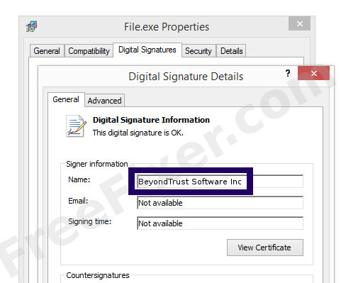Screenshot of the BeyondTrust Software Inc certificate